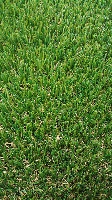 Ландшафтная трава 12